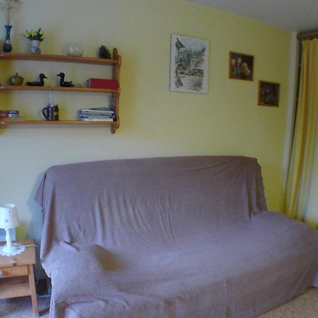 Studio Cosy Au Centre De Samoens Avec Parking Privatif - Fr-1-629-118 Exterior photo